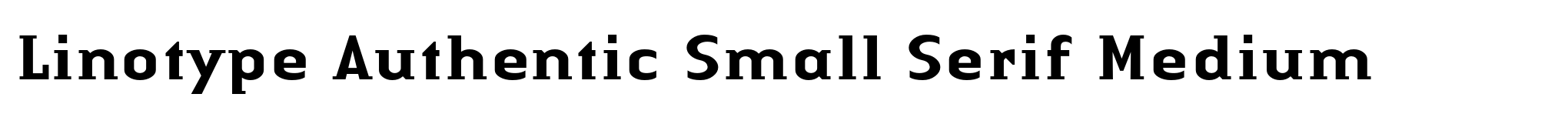 Linotype Authentic Small Serif Medium image
